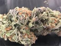 Image result for whats Hindu kush strain
