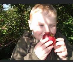 Truro Wants to Know.