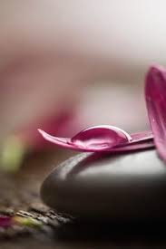 Pin By Dianna Maya On Just Breathe Zen Pictures Buddha Zen Zen