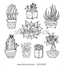 Hand Drawn Illustration Set Of Cute Cactus And Succulents In 2020 Cactus Drawing Succulents Drawing How To Draw Hands