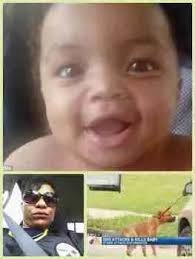 Pit bull victim Kingsley Wright, age 3, was 70th dog attack death of 2024