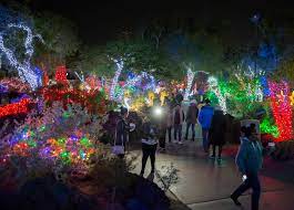Tips for visiting the ethel m chocolate factory and botanical cactus gardens. Holiday Goers Enjoy The Lights At Ethel M Chocolates Botanical Cactus Garden On Monday November 12 2018 In Henderson Benjamin Hager Las Vegas Review Journal Las Vegas Review Journal