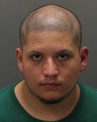 Movie theater shooting college student rylee goodrich, 18, was found dead while anthony barajas ultimately. Dj5vlsfzyg4xhm