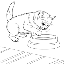 See more ideas about kittens, cute cats, kittens cutest. Kittens Coloring Pages The Y Guide