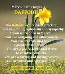 March Birth Flower March Birth Flowers Birth Flowers Birth Month Flowers
