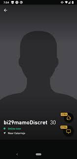 Chat and meet up with interesting people for . Grindr 7 21 0 Descargar Para Android Apk Gratis