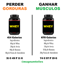 pin em dieta flexivel