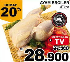 Ayam potong atau ayam broiler sudah bisa anda panen jika berat dagingnya sudah mencapai sekitar 2 kg. Promo Harga Ayam Broiler Terbaru Katalog Giant Hemat Id