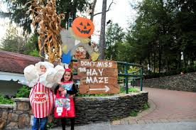 Family Friendly Halloween Attractions And Haunted Houses In The Laurel Highlands Halloween Attractions Kid Friendly Halloween Halloween Activities