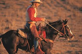 Viewed from the front, the horse's neck, withers and spine form a straight line and the rider's nose, chin, breastbone, belly button align with the horse's spine. 11 Different Horseback Riding Styles To Try
