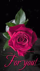 Flowers gif teal flowers butterfly flowers beautiful butterflies amazing flowers pretty flowers flower art beautiful gif beautiful roses. Google Beautiful Roses Beautiful Rose Flowers Rose Flower