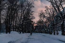 Es la estación más corta del año. Llega El Solsticio De Invierno Hoy Es El Dia Mas Corto Del Ano