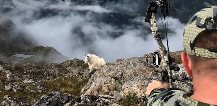 Mountain Goat Hunting 101: Tips, Tactics, & Gear Picks | KUIU