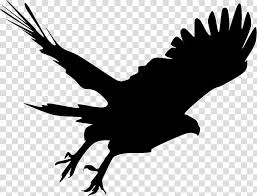 Bald Eagle Silhouette Hawk Silhouette Transparent Background Png Clipart Hiclipart This video is intended for you to follow along. bald eagle silhouette hawk silhouette