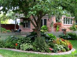 10 plante care rezista cu brio chiar si fara prea multa lumina. Plante Care Cresc La Umbra De Pe StradÄƒ Florile Frumoase Perene Care Cresc In UmbrÄƒ