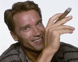 Best of my arnold schwarzenegger films by zapani. The Best Arnold Schwarzenegger Movies Complex