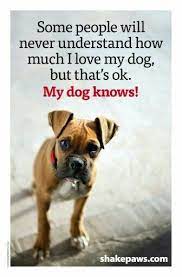 Bunty Thepugsmummy Dogs Dog Quotes Boxer Dogs