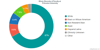 Princeton University Diversity Racial Demographics Other