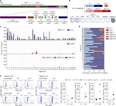 Sars Cov 2 Specific T Cell Immunity In Cases Of Covid 19 And Sars And Uninfected Controls Nature
