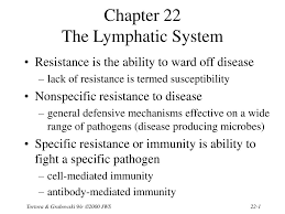Ppt Chapter 22 The Lymphatic System Powerpoint Presentation Free Download Id 1226936