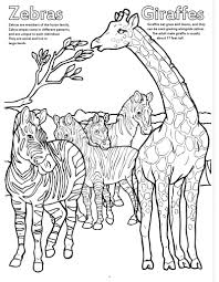 Download Wholesale Coloring Books Big Book Of Zoo Animals