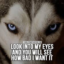 Get our daily wisdom quotes subscribe. 20 Strong Wolf Quotes To Pump You Up Wolf Quotes Wolf Pack Quotes Lone Wolf Quotes