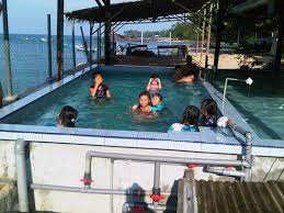 Pool need to wear swimming cap , else rental is rm2 , entrance fee for public pool is rm6 as of 1/2/17 Race Picture Of Pandan Goldcoast Holiday Villa Lundu Town Tripadvisor