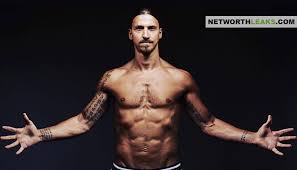 Zlatan ibrahimovic is the most successful swedish football export ever winning league titles with an astonishing six different european clubs. Zlatan Ibrahimovic S Net Worth 2020 Wiki Age Height Wife Cars Kids And More Facts
