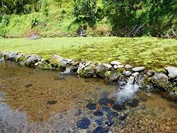 Curug bandung desa sumingkir kecamatan kutasari. Beautiful Pesona Pemandian Situ Tirta Marta Purbalingga Sering Jalan