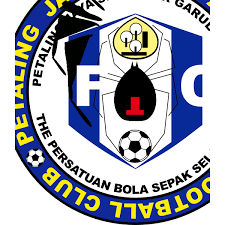 Still confused check our import guide below. Selangor Logo Download Logo Icon Png Svg