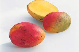 The discount does not apply to the new collection. Mangos Kuchengotter