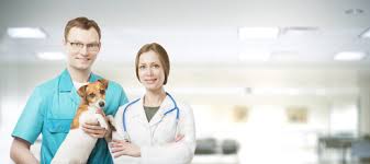Trouvez une clinique vétérinaire ou un véto rapidement 9 vétérinaires trouvé à clermont ferrand (63000): Urgences Veterinaire Trouvez Un Veterinaire De Garde