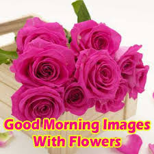 These pictures are a perfect inspiration in the morning and can really. Good Morning Images With Flowers Good Morning Wishes