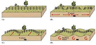 2 types of seismic waves. S Waves Are Seismic Waves
