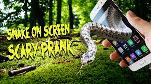 Is now installed on your device. Snake On Screen Scary Prank Hissing Joke Apk 1 2 Download For Android Download Snake On Screen Scary Prank Hissing Joke Apk Latest Version Apkfab Com