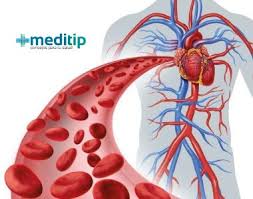 Estos parches detectan las señales eléctricas del corazón, y una máquina las va registrando en papel cuadriculado o las muestra en una pantalla. Presion Arterial Baja Hipotension Sintomas Y Diagnostico Meditip