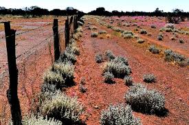 The Rabbit Proof Fence - Part I - Breaking the Cycle - Education