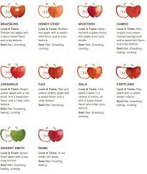 Types Of Apples And What They Are Best Used For Awesome In