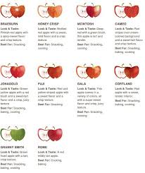 types of apples and what they are best used for awesome in