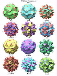 Image result for Polyspatha