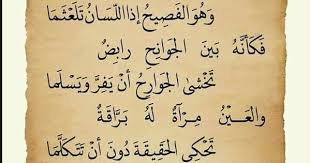 Pin By Fuad On شعر Arabic Beautiful Words Morning Quotes Words Of Wisdom