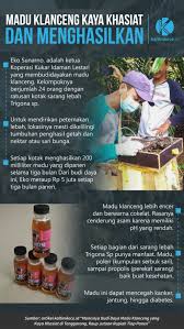 Madu lebah asli kaya dengan pelbagai jenis vitamin yang diperlukan oleh tubuh badan anda. Manisnya Budi Daya Madu Klanceng Yang Kaya Khasiat Di Tenggarong Raup Jutaan Rupiah Tiap Panen