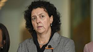 Zoe Daniel and Monique Ryan raise concerns with Victorian Premier Jacinta  Allan's announcement for high rise housing in Melbourne's suburbs