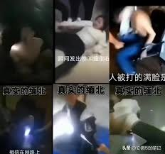 落入缅北诈骗窝点有多惨？女生毫无隐私，几乎都成为“乖乖犬”！ - 国际动态- 英国海外新闻- 英国海外生活网-英国华人网络社区平台