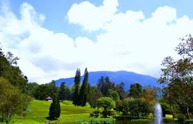 Sesuai dengan namanya, tempat wisata seluas 23 hektar ini merupakan taman bunga yang. 15 Tempat Wisata Di Bogor Instagramable Paling Hits 2021 Puncak Net