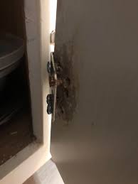 Overlay, these concealed hinges are retrofitable and allow any level diyer to do away with the heavy slamming of cabinet doors. How Do I Fix This Cabinet Door Hinge The Screw Holes Have Become Too Big And It Won T Take The Screw I Ve Tried Wood Filler Toothpicks And A Wider Screw Nothing Has