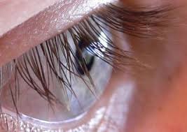 I could not get cold pressed castor oil so i got. Eyelash Facial Features Info About What S This