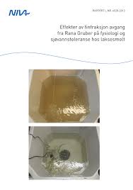 Rana gruber as eies av leonard nielsen og sønner, (lns). Pdf Effects Of Rana Gruber Dressing Plant Fine Fraction Iron Ore Discharge On Physiology And