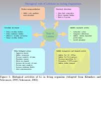 A company isn't allowed to make unadulterated or dangerous. Biological Role Of Lithium In Living Organism Download Scientific Diagram