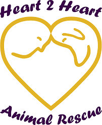 Society of animal welfare administrators (sawa) animal shelters. Pets For Adoption At Heart2heart Animal Rescue In Surprise Az Petfinder